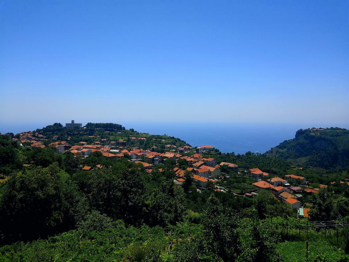 Agriturismo Il Castagno Villa Agerola Exterior photo